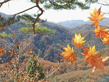 镇江poe薄膜生产线_poe膜概念股