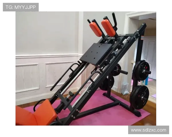 高效腿部训练必备的八类健身器材详解