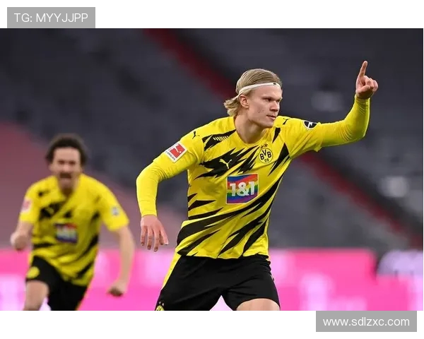 回顾2020-2021赛季德甲球队战绩与球员表现分析