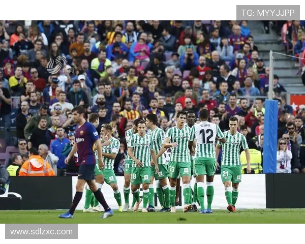 山东体育西甲直播频道及赛事特色介绍