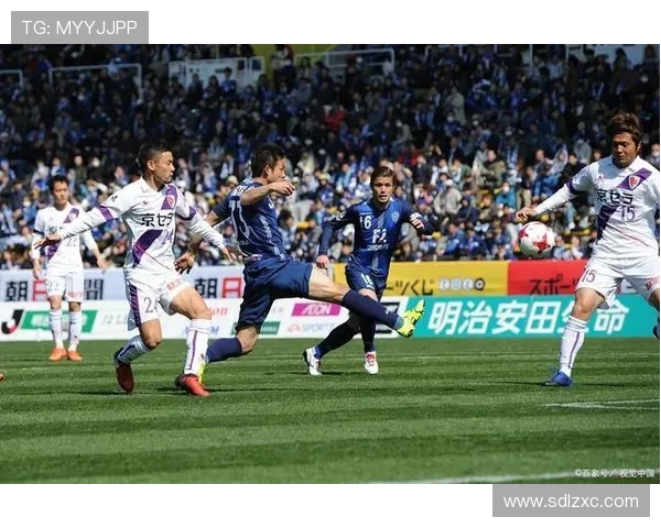 水户蜀葵对阵福冈黄蜂历史战绩走势与胜负规律解析数据对比与关键因素