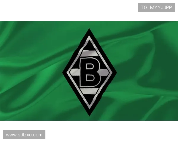 莱茵河畔的德甲球队名单及地理分布 莱茵河畔的德甲球队名单及地理分布